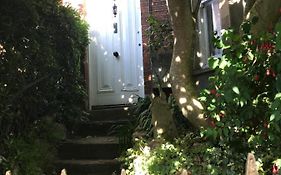 Magnolia Tree House
